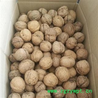 【老品种非矮化】秦岭老树山核桃无硫日晒为秦岭著名地产土特产图4