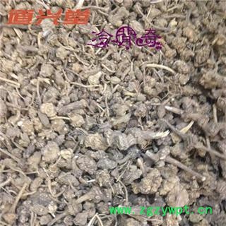 珠儿参 扣子七 统货 产地 云南省  批发各种冷背中草药个子图4