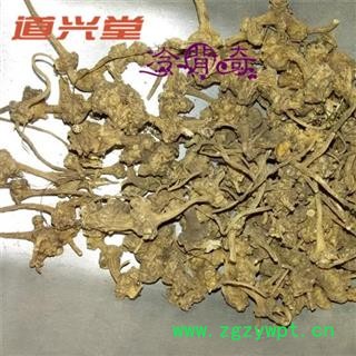 珠儿参 扣子七 统货 产地 云南省  批发各种冷背中草药个子图2