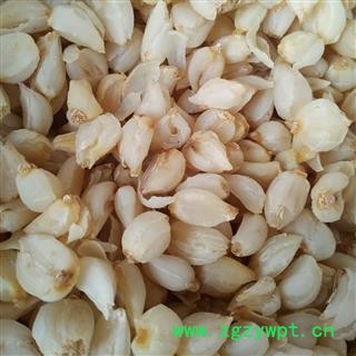 百合 兰州百合  甜百合 产地 甘肃省图2