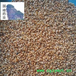 柏子仁 正品地道 选货 无硫磺 无虫蛀 颜色好 国峰药业 重在品质 产地 山东省图2