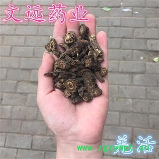 羌活 正品野生 川羌活   产地 四川省图4