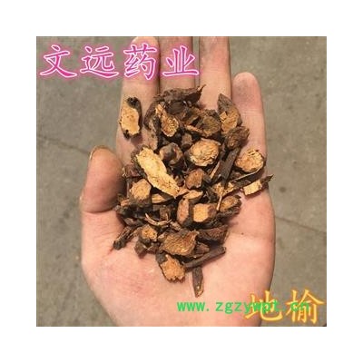 地榆 野生地榆 产地 甘肃省酒泉市