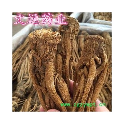 当归 大统 选 全当归  当归个 产地 甘肃省