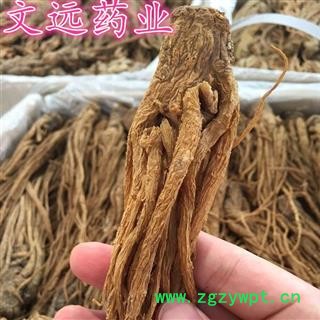 当归 大统 选 全当归  当归个 产地 甘肃省图2