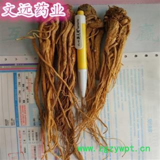 当归 大统 选 全当归  当归个 产地 甘肃省图3