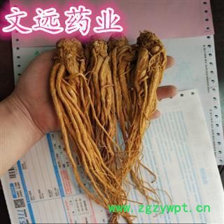 当归 大统 选 全当归  当归个 产地 甘肃省图4