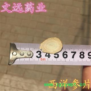 西洋参 西洋参片  选2.0cm左右 产地 吉林省图4