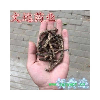 胡黄连 胡连 产地 西藏自治区昌都地区昌都县