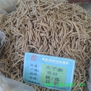 太子参 大统 产地 贵州省铜仁地区石阡县图2