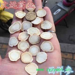 西洋参 精选  西洋参片 统1.6左右 产地 河南省图4