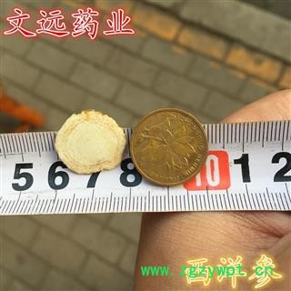 西洋参 精选  西洋参片 统1.6左右 产地 河南省图2