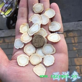 西洋参 精选  西洋参片 统1.6左右 产地 河南省图3
