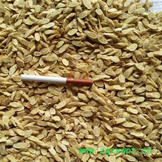 黄芪 精选 瓜子片 产地 甘肃省图3