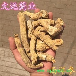 西洋参 大个头  大统装 无硫稍微带伤疤 产地 吉林省图3