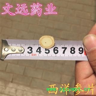 西洋参 西洋参大片1.8左右 产地 吉林省图3