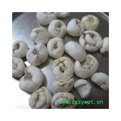 浙贝母 选货  产地 浙江省