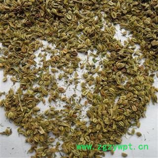 蛇床子 包药检 蛇床子净货 颜色新鲜 新货上市 不掺假 包药检 假一赔十 产地 内蒙古自治区图2