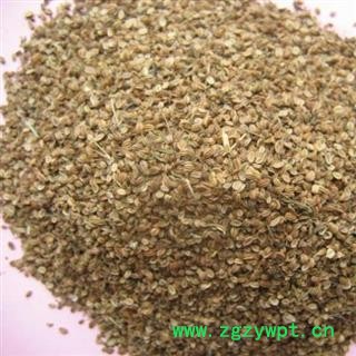 蛇床子 包药检 蛇床子净货 颜色新鲜 新货上市 不掺假 包药检 假一赔十 产地 内蒙古自治区图3