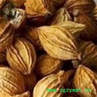 香砂 精品一级好香砂 今年新货 干度好 产地 广西壮族自治区图3
