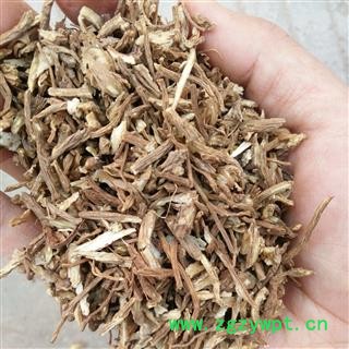 当归 小统货 无碎沫 产地 甘肃省图2