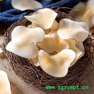 海底椰 中药材优质海底椰500g图4