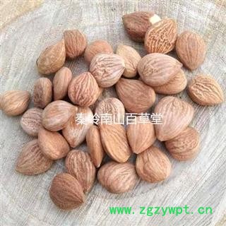 【新货】野生桃仁 秦岭精选 颗粒饱满 干净无杂500g【买2送1完】图3