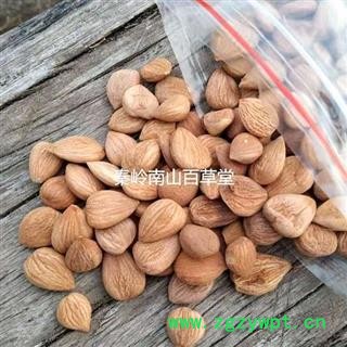 【新货】野生桃仁 秦岭精选 颗粒饱满 干净无杂500g【买2送1完】图4