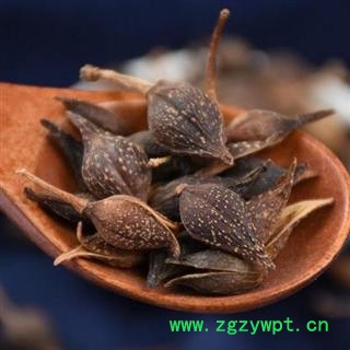 【新货】秦岭天然贯叶连翘老翘分拣晒干500g图2