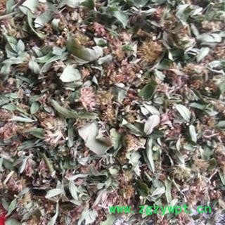 胡枝子 秦岭胡枝条 扫皮 随军茶 杭子梢 掌柜自采 手工切段日晒无硫 500g图4