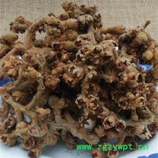 枇杷花 秦岭野生 掌柜自采日晒无500g另有枇杷叶 灸枇杷叶图3