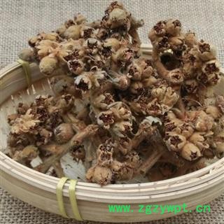 枇杷花 秦岭野生 掌柜自采日晒无500g另有枇杷叶 灸枇杷叶图2