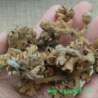 枇杷花 秦岭野生 掌柜自采日晒无500g另有枇杷叶 灸枇杷叶图4