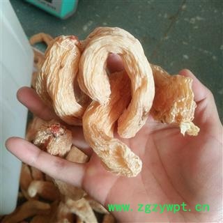 天麻 红嘴天麻大个 产地 湖北省图2