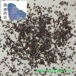 车前子 颜色好 好统货 干净 无虫蛀 国峰药业 重在品质 产地 山东省图2