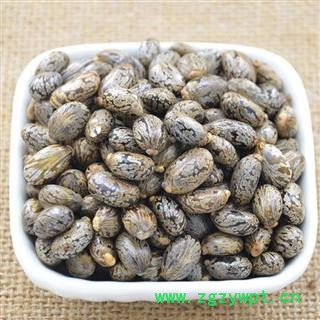 蓖麻子 秦岭野生优质蓖麻子 手工采摘分拣 日晒500g图2