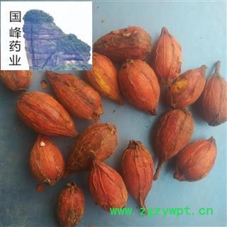 栀子 山栀子个 颜色好 全干 好统货 无虫蛀 国峰药业 重在品质 产地 四川省图2