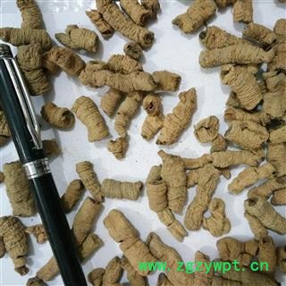 巴戟天 大选段  巴戟肉 产地 广东省茂名市市辖区图4