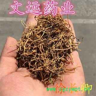 徐长卿 净根 产地 山东省泰安市市辖区图3