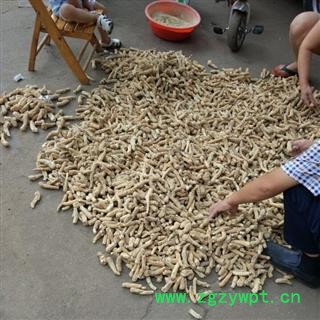 西洋参 大头20克一支 产地 吉林省吉林市市辖区图3