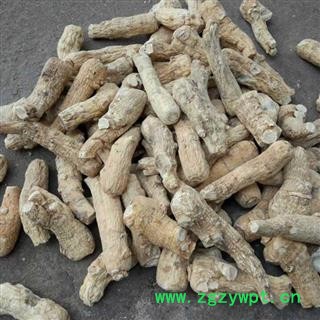 西洋参 大头20克一支 产地 吉林省吉林市市辖区图4