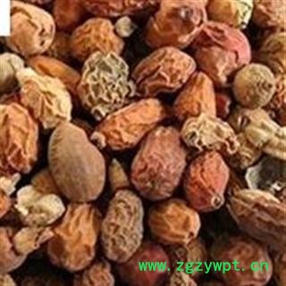 红豆蔻 选 产地直销 价格优惠  产地 广西壮族自治区图2