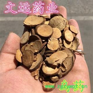 乌药 大片 产地 广西壮族自治区图2