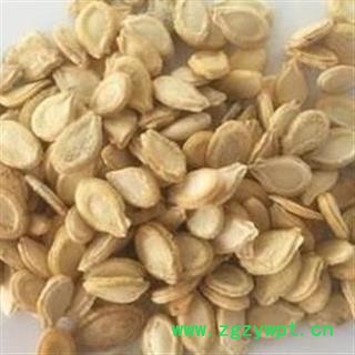 双边冬瓜子 精品冬瓜子好货 符合药典 今年新货 地道药材 产地 山东省图2