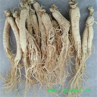 人参 生晒参 20支500克 产地 吉林省下单后联系卖家修改运费图2