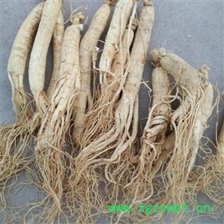 人参 生晒参 20支500克 产地 吉林省下单后联系卖家修改运费图3