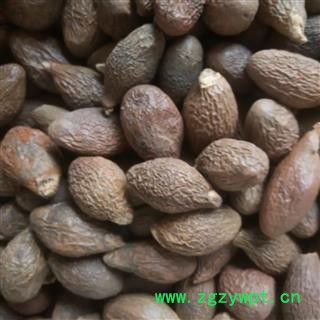 胖大海  圆粒统货 去年陈货  兽用胖大海 纯干货 产地 广西壮族自治区图2