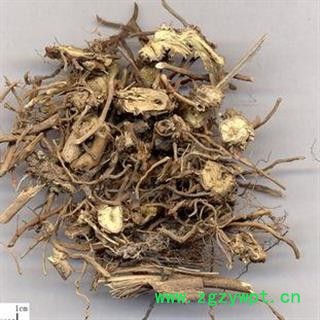 白薇 统 产地 河北省邯郸市复兴区图3