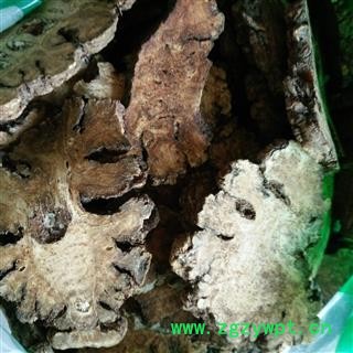 川芎 16筛子以上选片 无硫磺  产地 四川省图2