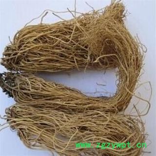 辽细辛 统 产地 辽宁省图2